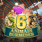 Burmese 6 Animals